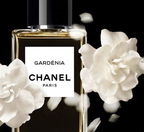 chanel gardenia vs gardenia parfum|chanel perfume gardenia price.